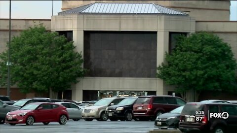 Car rentals expected to increase drastically