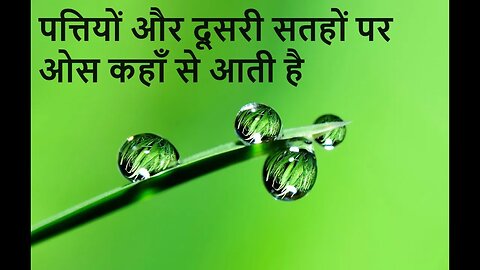 पत्तियों और दूसरी सतहों पर ओस कहाँ से आती है