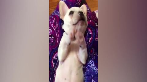 If You're Happy And You Know It, Clap Your Hands!