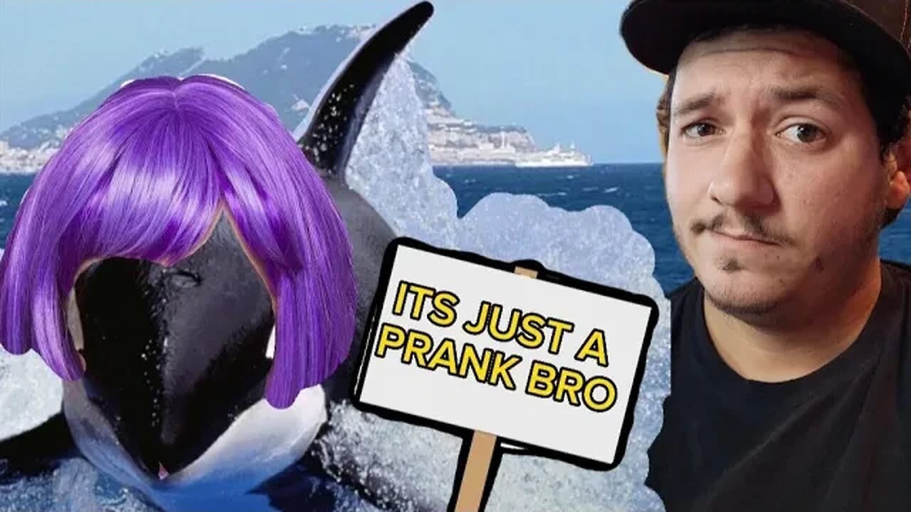 Orca Attacks Boat During Race, Media Upset Incidents are called "Attacks"