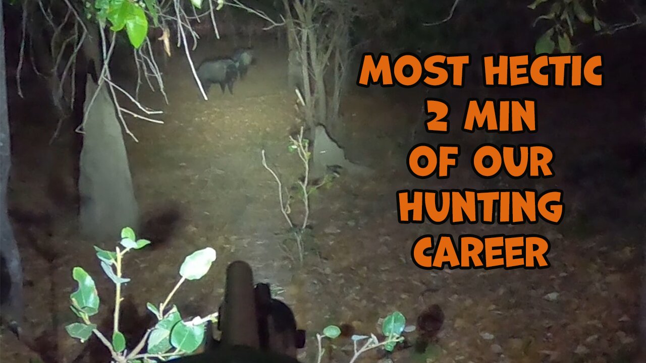 THE LAST PARADISE SERIES - 6 good boars in 2mins!