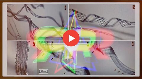 🌟💣🌟GREG REESE INFOWARS : Recent Study Shows Self Assembly Nanobots In The COVID 19 Injectables🌟💣🌟