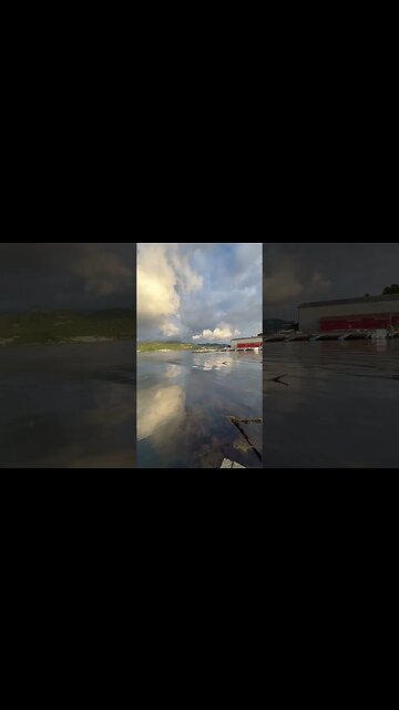 Mewa - spotkanie po latach