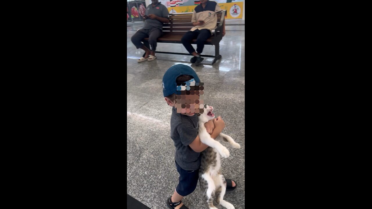We came across a cat at the meat market that was cute.