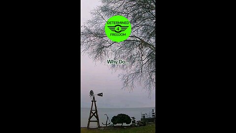 Why Do...
