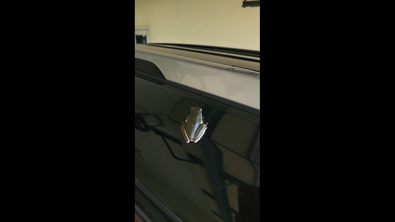 Saw a cute little frog!