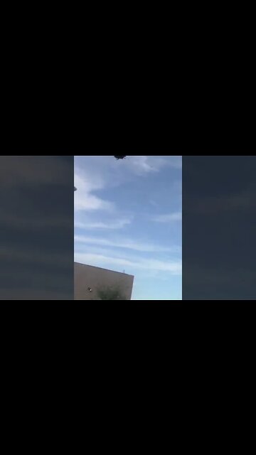 It's Stinkbug Season #Shorts 😬