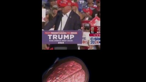 Trump rally shooting video