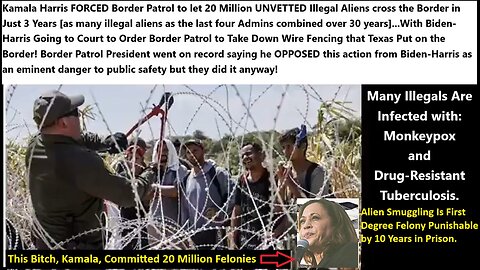 Kamala FORCED Border Patrol to let 20 Million UNVETTED Illegal Aliens cross the Border in Just 3 Years