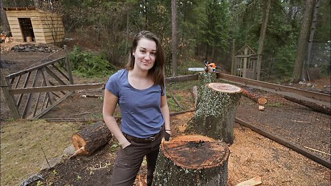 This Tree Was More Dangerous Than We Thought!