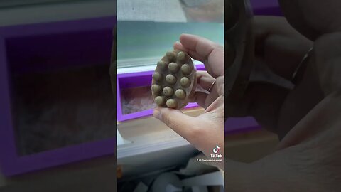 Make Kratom Beauty Bar