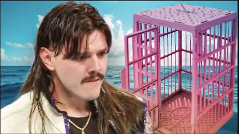 5 Best Shark Cage Matches In Wrestling History