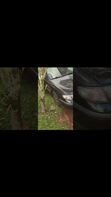 Todos os carros do canal até junho - Canal O Gearhead