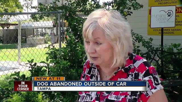 Dash-cam video catches dog being abandoned outside of car
