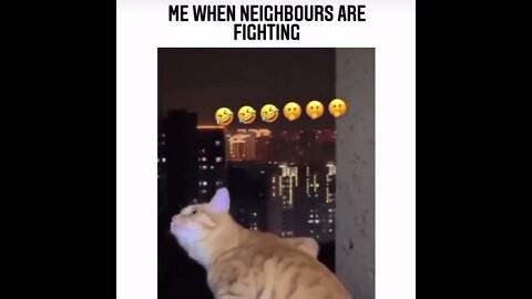 Me When Neighbors Are Fighting #shorts #youtubeshorts