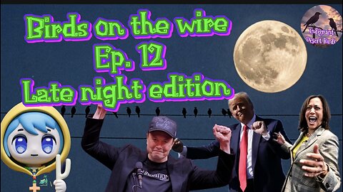 Elon Musk Attacked by left, Election shenanigans, Luce Anime is now Catholic, and More!