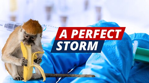 A Perfect Storm | CatherineEdwards.life