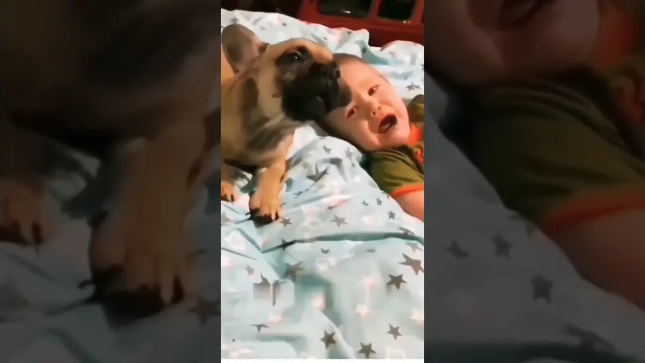 FUNNY ANIMAL VIDEOS I FOUND ON 😃😃 #shorts