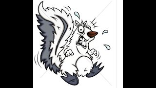 Tennis Racket Squirrel Zapper