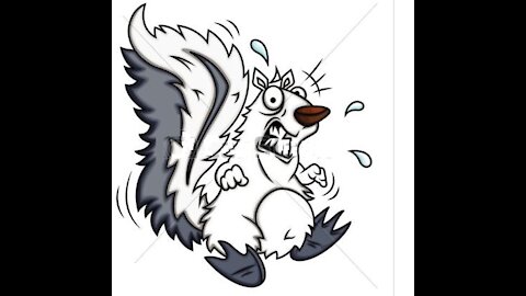Tennis Racket Squirrel Zapper
