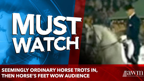 Seemingly Ordinary Horse Trots In, Then Horse’s Feet Wow Audience