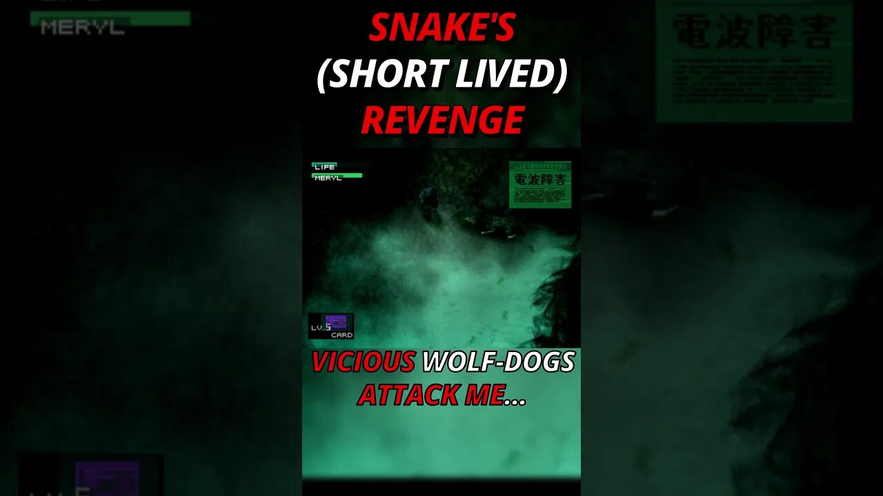 **HAPPY WOLF NOISES** #shorts #short #shortsvideo #shortsfeed #shortvideo #shortviral #meme #clip