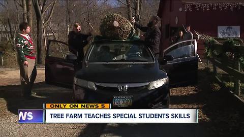 Unique Christmas tree farm teaches special students new skills