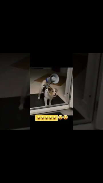 NÃO ESPERAVA PELO FINAL 😳