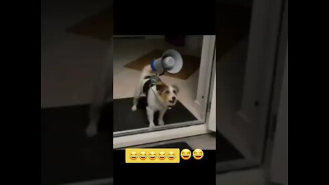 NÃO ESPERAVA PELO FINAL 😳