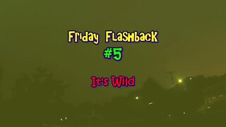Friday Flashback #5