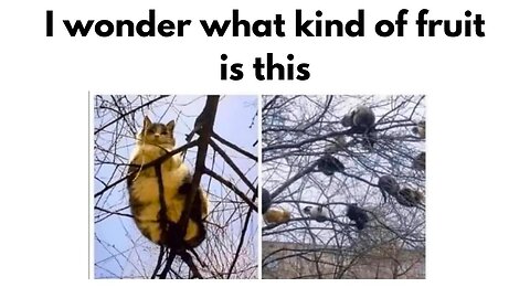 2 min of Wholesome Memes pt. 3