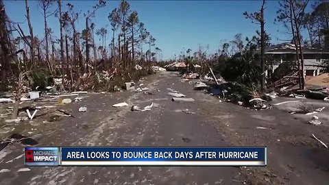 Hurricane Michael rescue and relief efforts