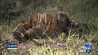 October is Wildfire Awareness Month