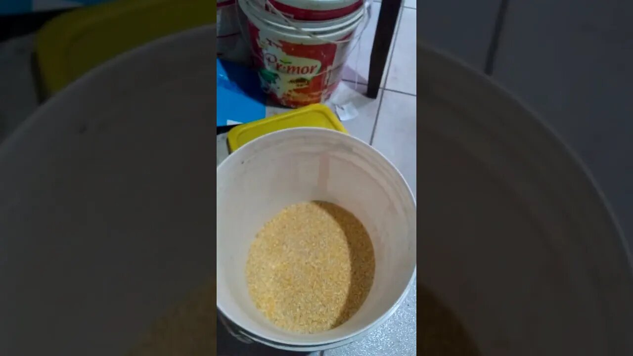 folha de bananeira da certo?vermifugando galinhas com pro vermin