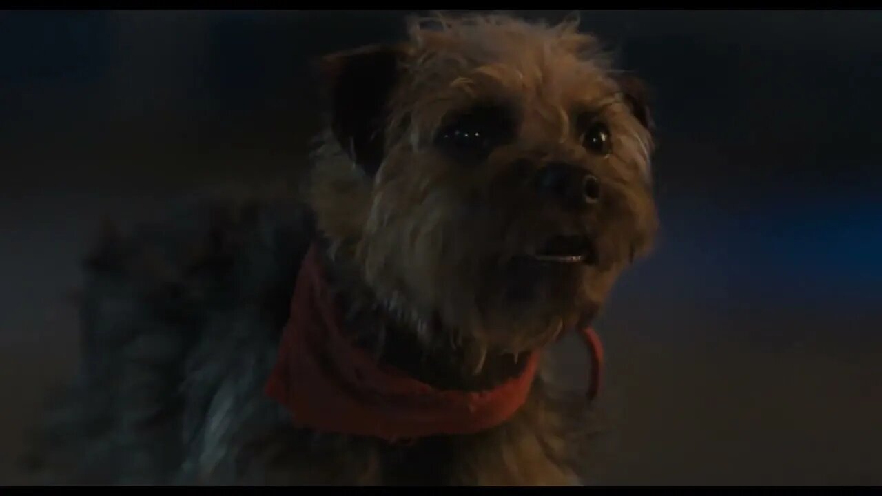 Jamie Foxx and Will Ferrell star in the new trailer for ‘STRAYS’