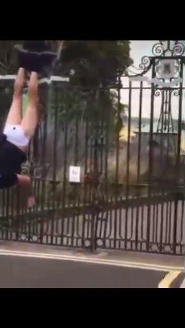 A pig caught with his pants down