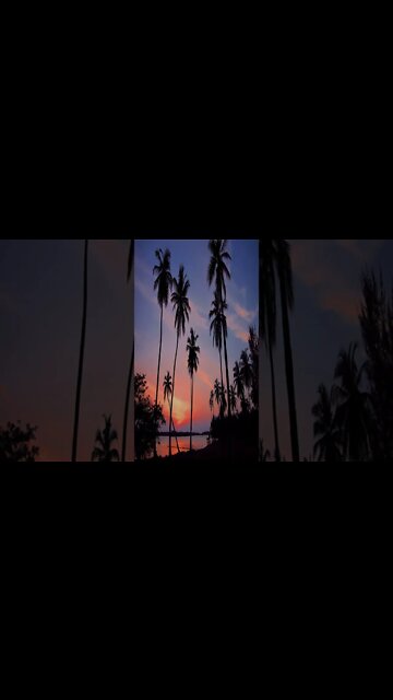 music - Nowhere Ikson #music #shorts #short #shortvideo #shortsvideo