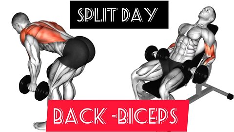 4-day program with dumbbells:2 day "Back- Biceps"