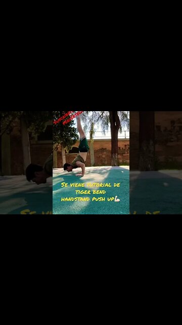 Se viene: Tiger bend handstand tutorial😍