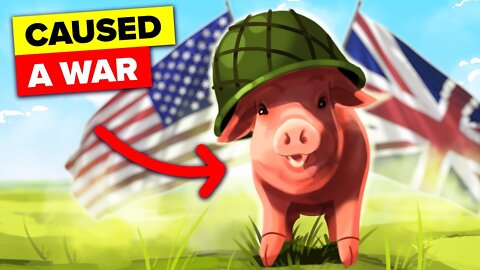 Dumbest Reasons Countries Have Actually Gone To War