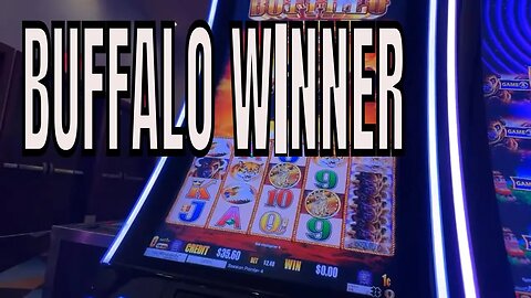 WINNING ✅ Las Vegas Casino Play - BUFFALO