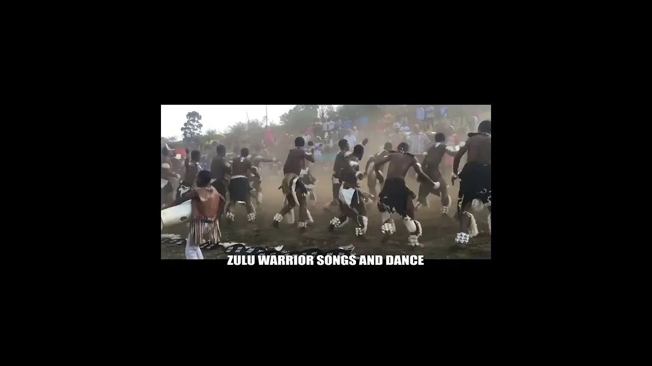 AMAZING ZULU WARRIOR DANCE 3 #Shorts