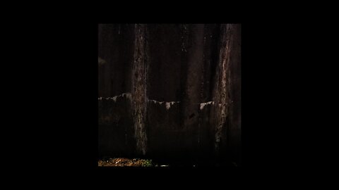 My Movie 19