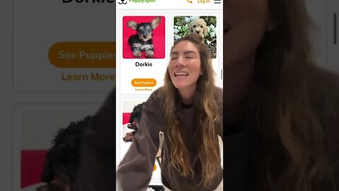 Dogs, Dogvideos for Doglovers only dof care tips and grooming tips 6