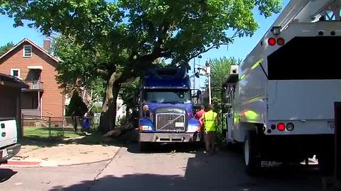 Semi truck takes down tree branches and wires