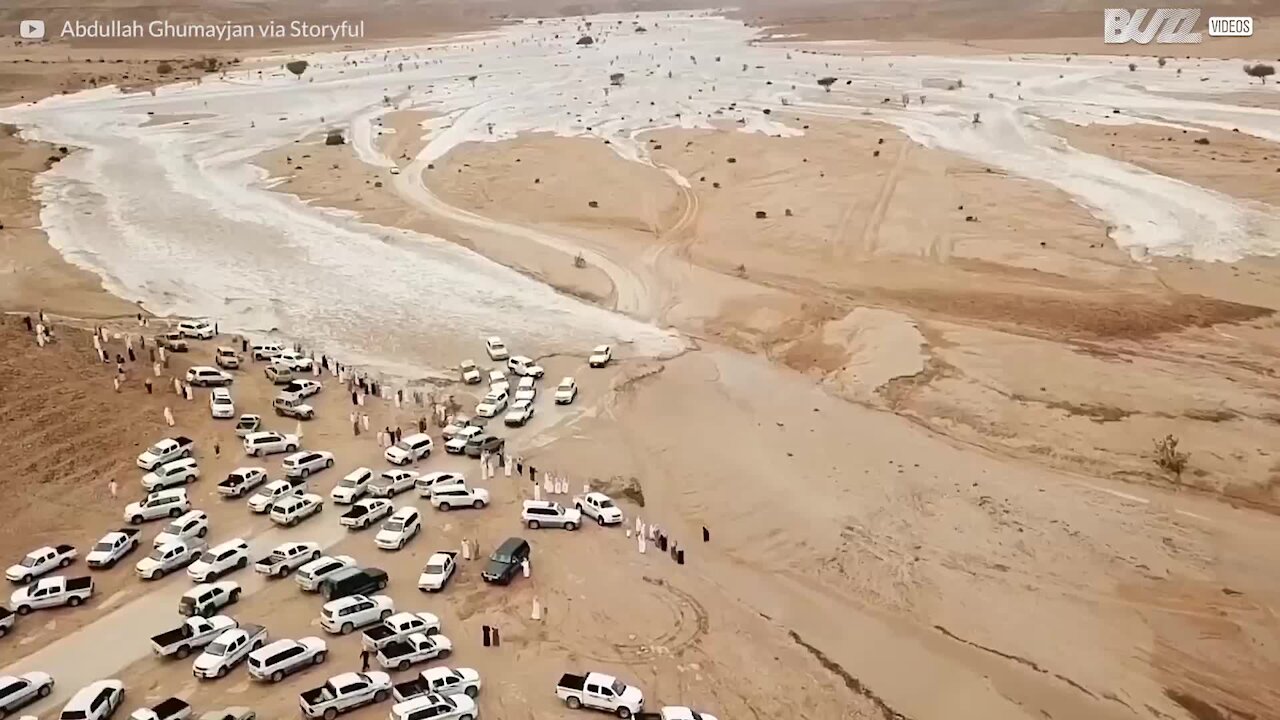 Inondazione dell'Arabia Saudita vista dall'alto