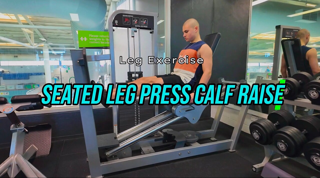 Seated Leg Press Calf Raise | LEGS Exercise