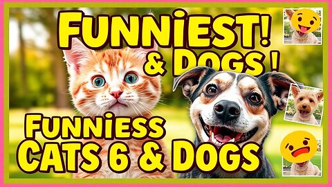 Funniest Animal video 😂 New Funny Cats and Dogs Videos 😻🐶