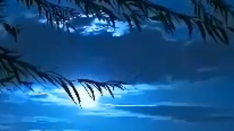 In Concert Rob Hinkforth playing - How Great Thou Art; Just a Closer Walk; The Ave Maria & Open Arms