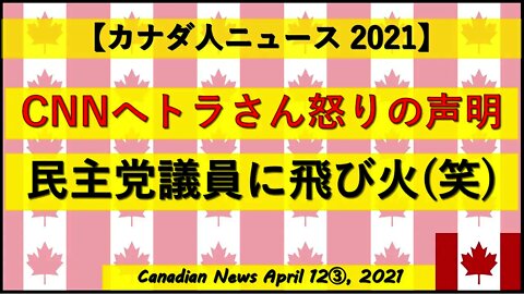 CNNへトラさん怒りの声明 のはずが民主党議員に飛び火（笑）